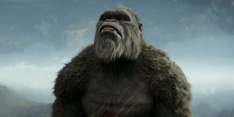 ٢٠٢٤٠٥١٨ ٠٠٠٦٥٦