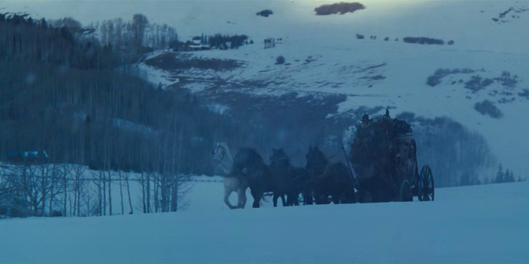 The Hateful Eight13