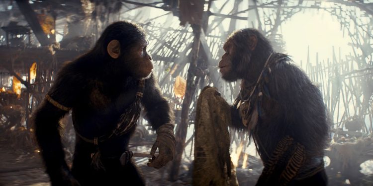 ٢٠٢٤٠٦١٣ ٢٢٢٧٢٤ scaled