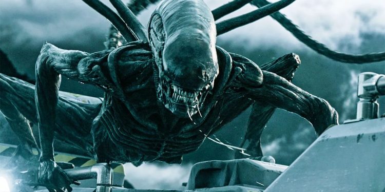 ٢٠٢٤٠٧١٣ ١١٢٩٢١