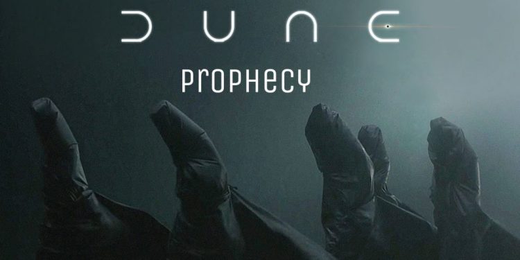 ٢٠٢٤٠٨١٤ ٢٢٣٨١٣ 1024x576 1