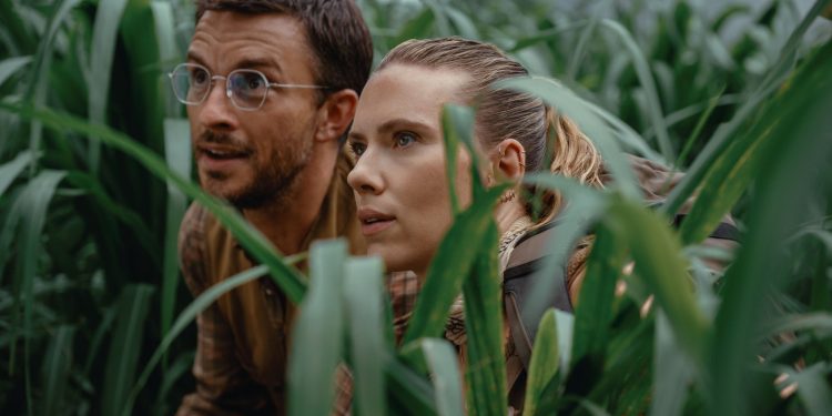 ٢٠٢٤٠٩٠١ ٠٠٠٣٤٣