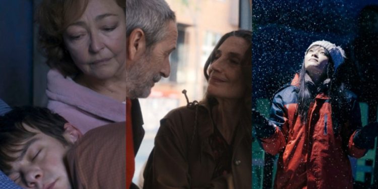 Valladolid Winners 2024