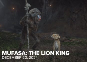 ٢٠٢٤١١٠٨ ٢٣٤٥٣٩