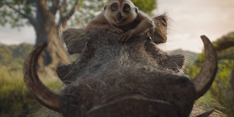 ٢٠٢٤١٢١٠ ١١٠٥٥٦