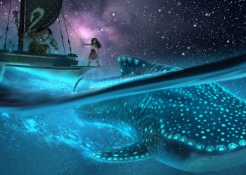 ٢٠٢٤١٢٢٨ ٠٩٥٥٤٨