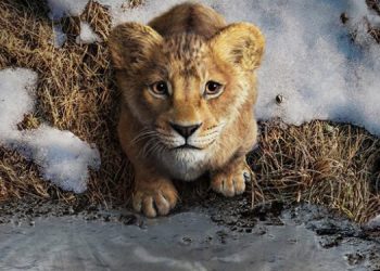 Header 1 3 750x375 1