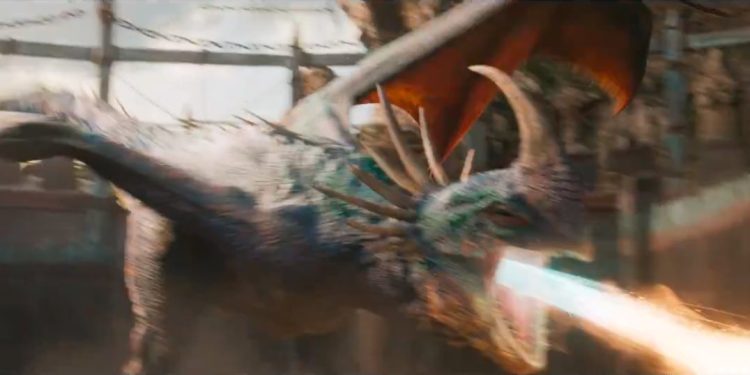 ٢٠٢٥٠١٢٠ ١٢٣٤٤٧