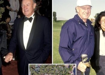 20252271316457281E 1