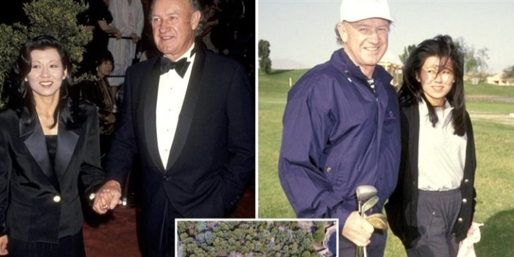 20252271316457281E 1