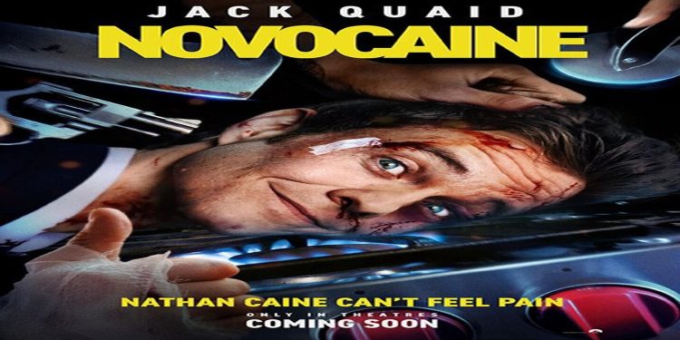 resized novocaine header