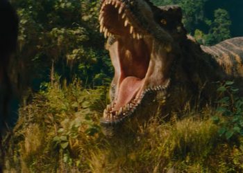 ٢٠٢٥٠٢١١ ٢٢٥٠٢٥