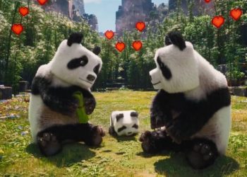 ٢٠٢٥٠٣٠٢ ١٩٣٠٥١ 1140x604 1