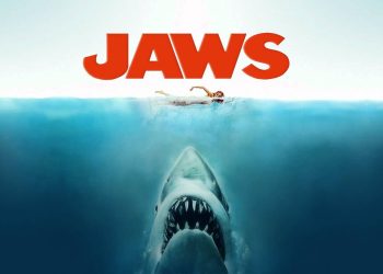 ٢٠٢٥٠٣٠٩ ٠٩٢٩٣٤