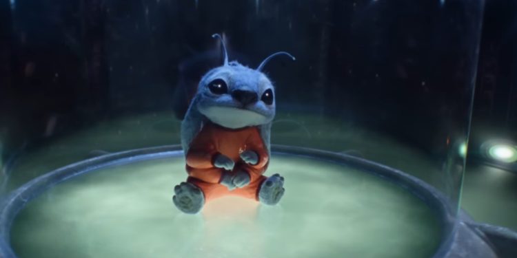 ٢٠٢٥٠٣١٣ ٠٣٢٩١٦