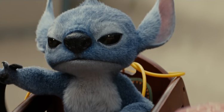 ٢٠٢٥٠٣١٥ ٠٢٥٠٥٩