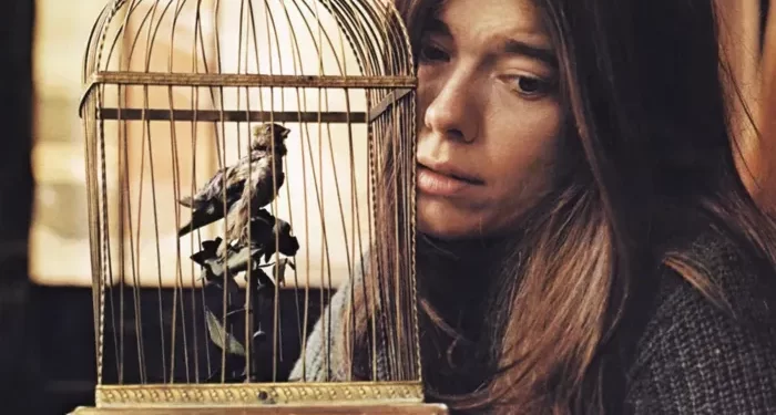 76f50650 0e74 11f0 96fc 4d15d667124c file 1743455382321 341711725