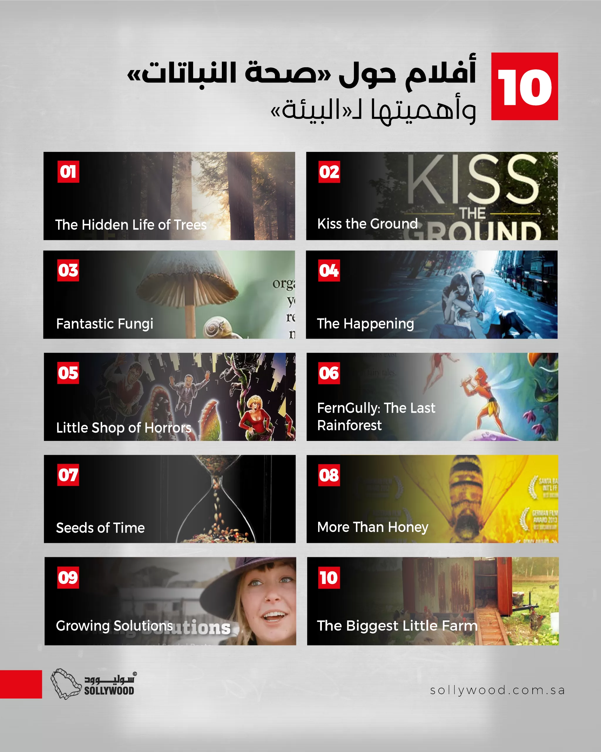 أفلام تسلط الضوء على صحة النباتات وأهميتها للبيئة انتسجرام كبير 1 أفلام تسلط الضوء على صحة النباتات وأهميتها للبيئة انتسجرام كبير 1