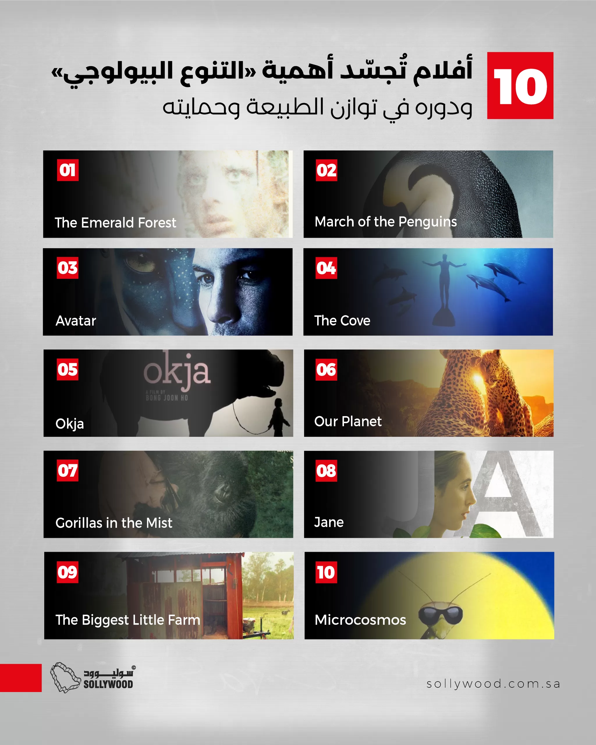 10 أفلام تُجسّد أهمية «التنوع البيولوجي» ودوره في توازن الطبيعة 10 أفلام تُجسّد أهمية «التنوع البيولوجي» ودوره في توازن الطبيعة