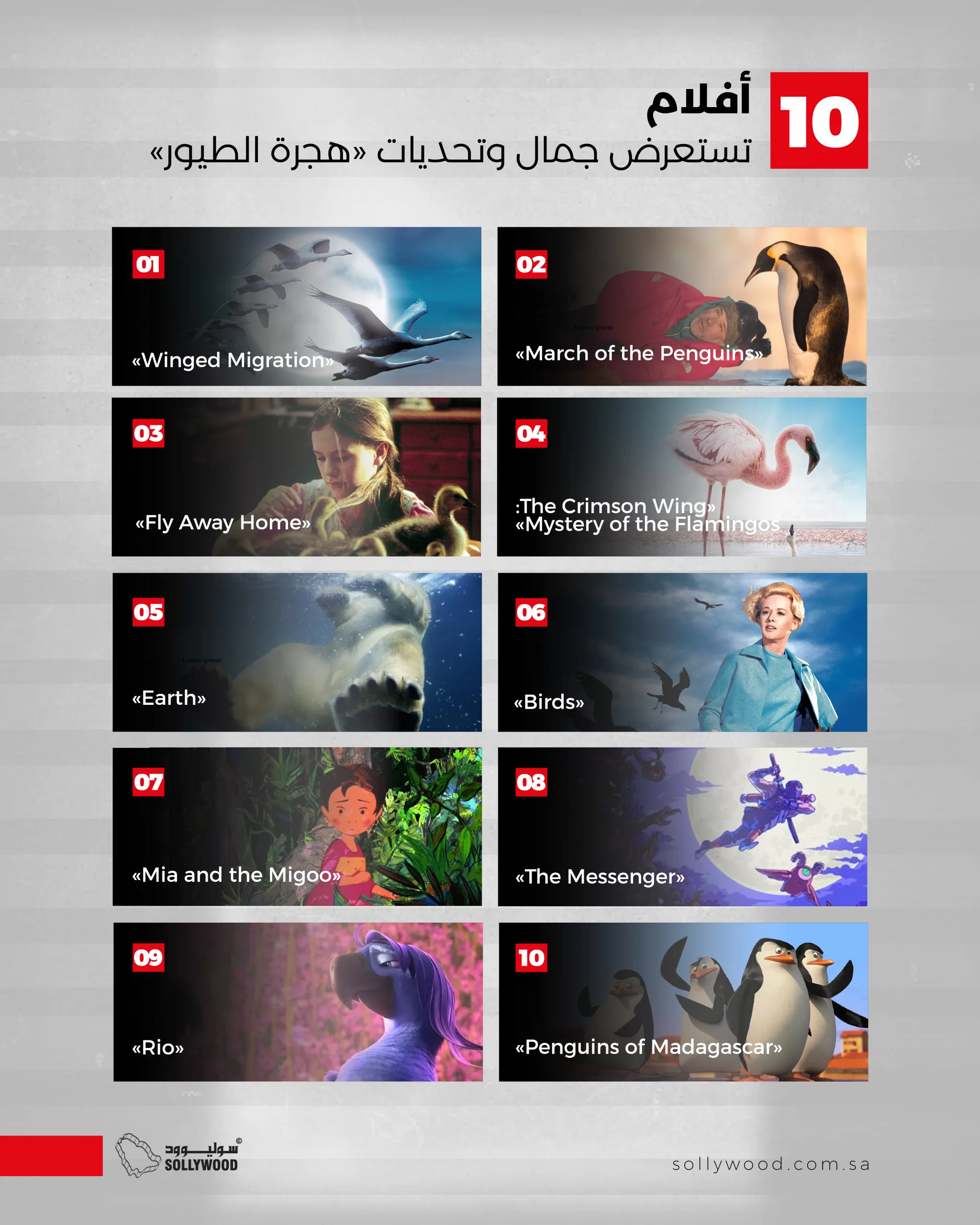 10 أفلام تستعرض جمال وتحديات «هجرة الطيور» 10 أفلام تستعرض جمال وتحديات «هجرة الطيور»