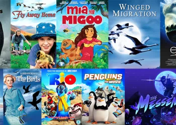 10 أفلام تستعرض جمال وتحديات «هجرة الطيور»