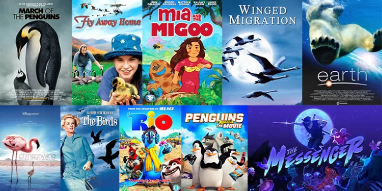 10 أفلام تستعرض جمال وتحديات «هجرة الطيور»