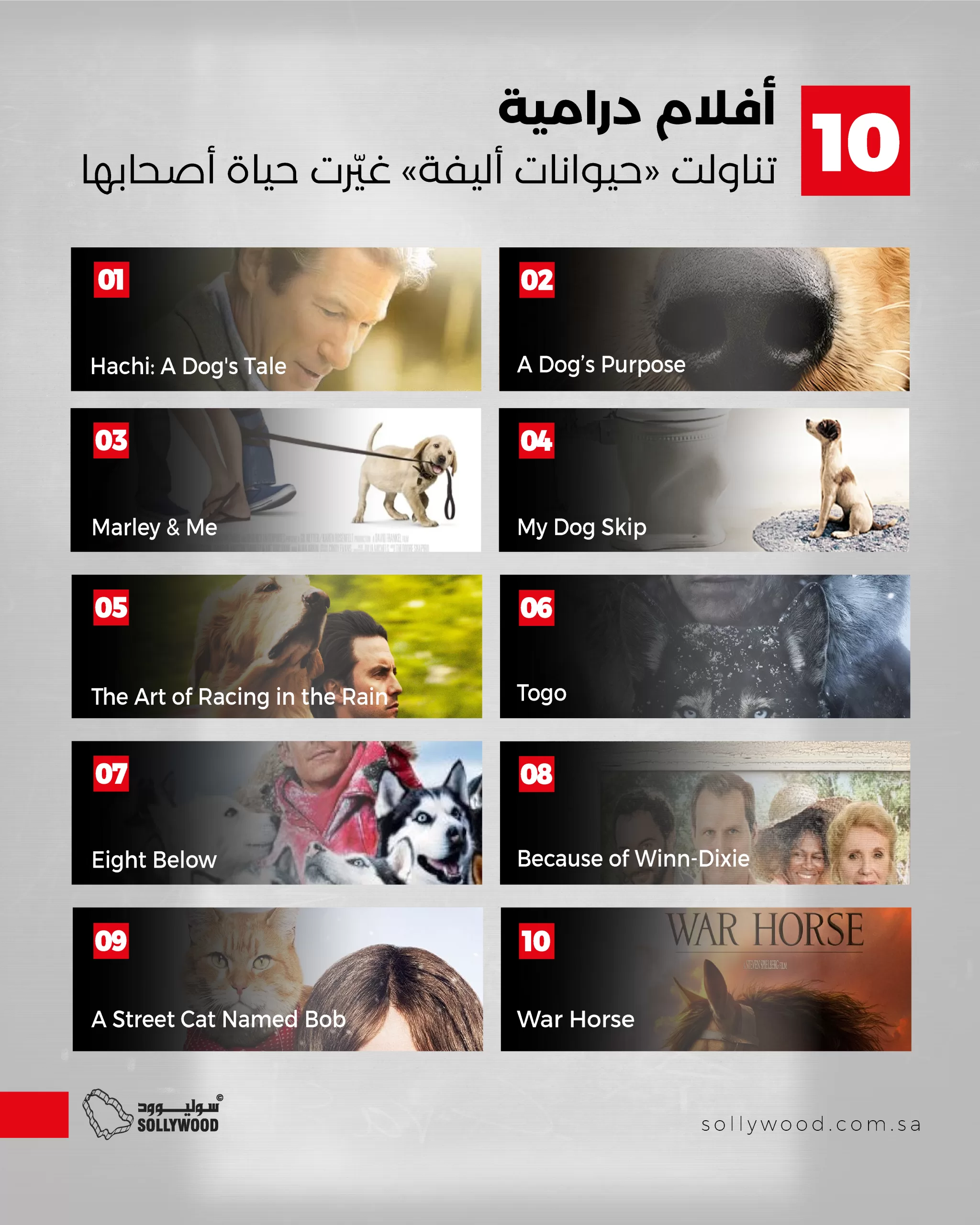 10 أفلام درامية تناولت «حيوانات أليفة» غيّرت حياة أصحابها 10 أفلام درامية تناولت «حيوانات أليفة» غيّرت حياة أصحابها