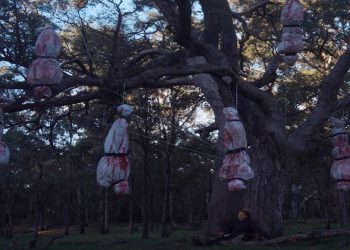 مراجعة فيلم «The Banished».. أهوال طائفية في مناطق أستراليا النائية