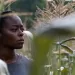 فيلم 40 Acres