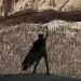 فيلم Dune