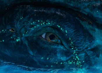 فيلم Avatar: Fire and Ash