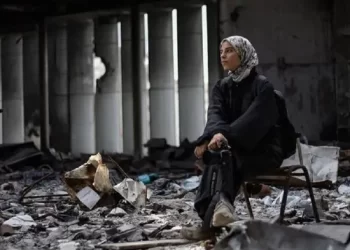 23 فيلمًا وثائقيًا في مهرجان تورنتو السينمائي الدولي 2025