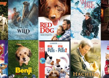 10 أفلام مؤثرة عن «الحيوانات المشردة» ومعاناتها