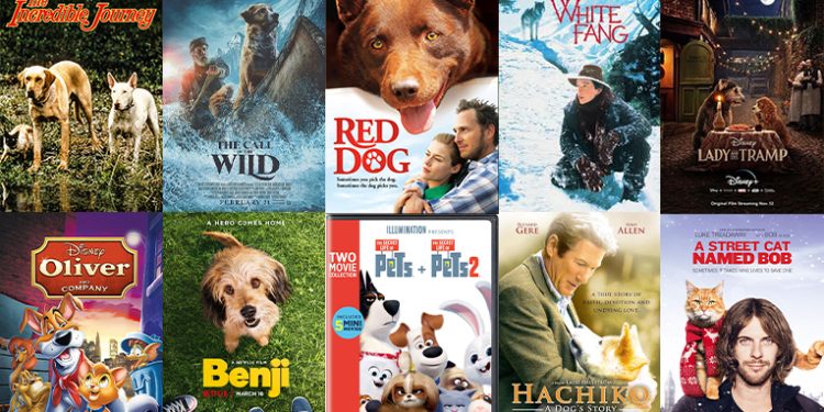 10 أفلام مؤثرة عن «الحيوانات المشردة» ومعاناتها