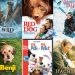 10 أفلام مؤثرة عن «الحيوانات المشردة» ومعاناتها