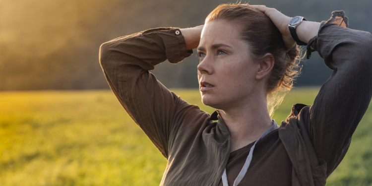 انفو 7info 7 HEADER