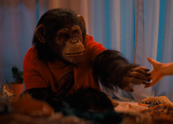 «Primate» شمبانزي قاتل يحول عطلة هادئة إلى كابوس مرعب