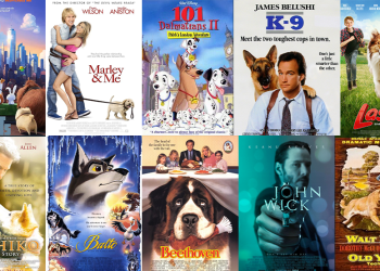 من «لاسي» إلى «هاتشي».. أفلام السينما التي جعلت الكلب بطلًا للوفاء