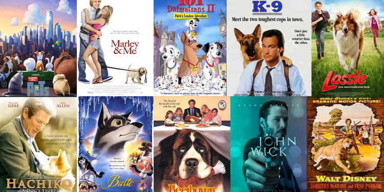 من «لاسي» إلى «هاتشي».. أفلام السينما التي جعلت الكلب بطلًا للوفاء