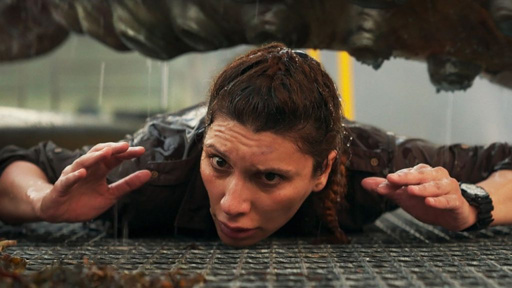 ٢٠٢٦٠٤٢٧ ٢٠٠٠٢٥