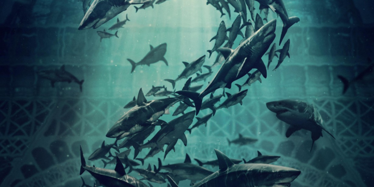 netflix sharks header 1200x800