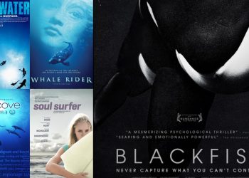أفلام أسماك القرش