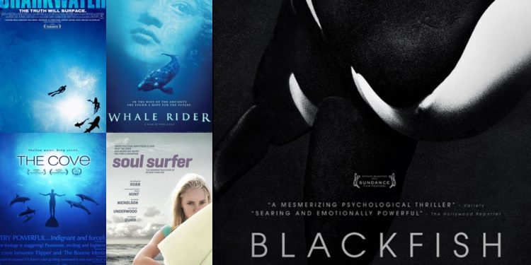 أفلام أسماك القرش