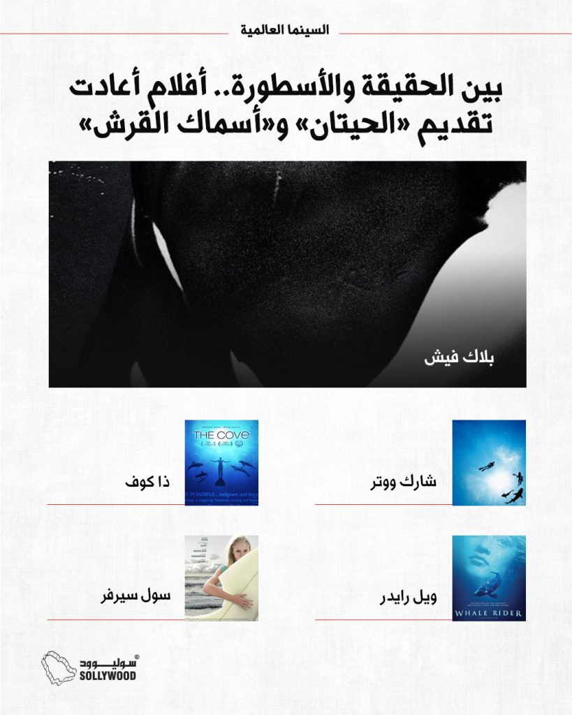 افلام حيتان 1INFO 5 IN.jpg