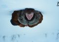 «A Long Winter».. الصور الأولى تكشف دراما عائلية قاسية من إخراج أندرو هاي في جبال كولورادو