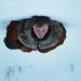 «A Long Winter».. الصور الأولى تكشف دراما عائلية قاسية من إخراج أندرو هاي في جبال كولورادو