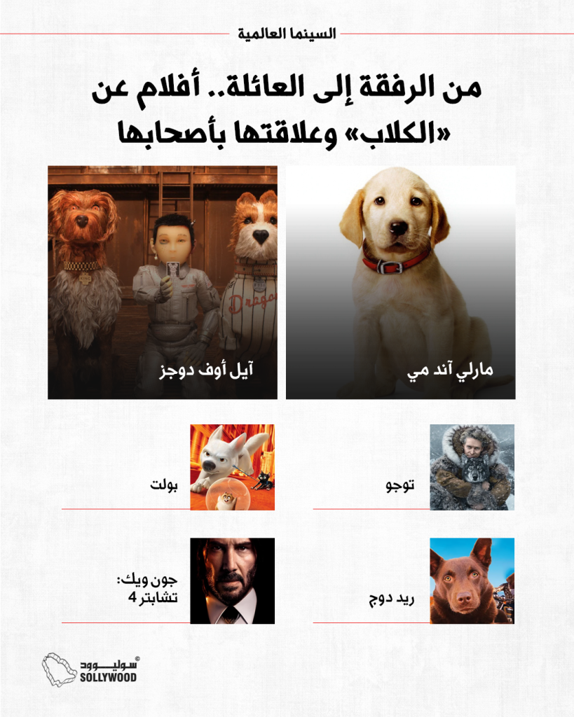INFO 6 IN افلام عن الكلاب